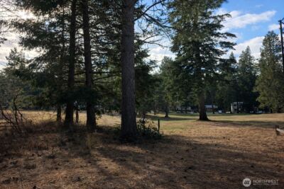 0 xxx Hermitage Drive , Cle Elum, WA 98922 - Photo 3