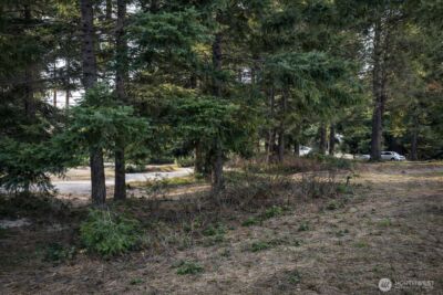 0 xxx Hermitage Drive , Cle Elum, WA 98922 - Photo 7