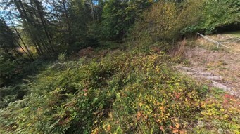 130 LOT: B, PTN BLK: 15 , Hoodsport, WA 98548