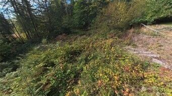 130 LOT: B, PTN BLK: 15 , Hoodsport, WA 98548 - Photo 1