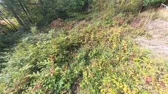 130 LOT: B, PTN BLK: 15 , Hoodsport, WA 98548