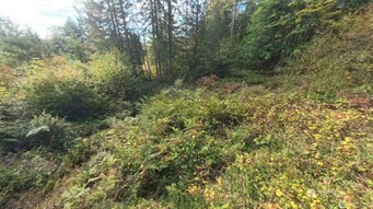 130 LOT: B, PTN BLK: 15 , Hoodsport, WA 98548