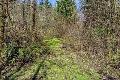 337 Jorgensen Road , Onalaska, WA 98570-9424 - Photo 15