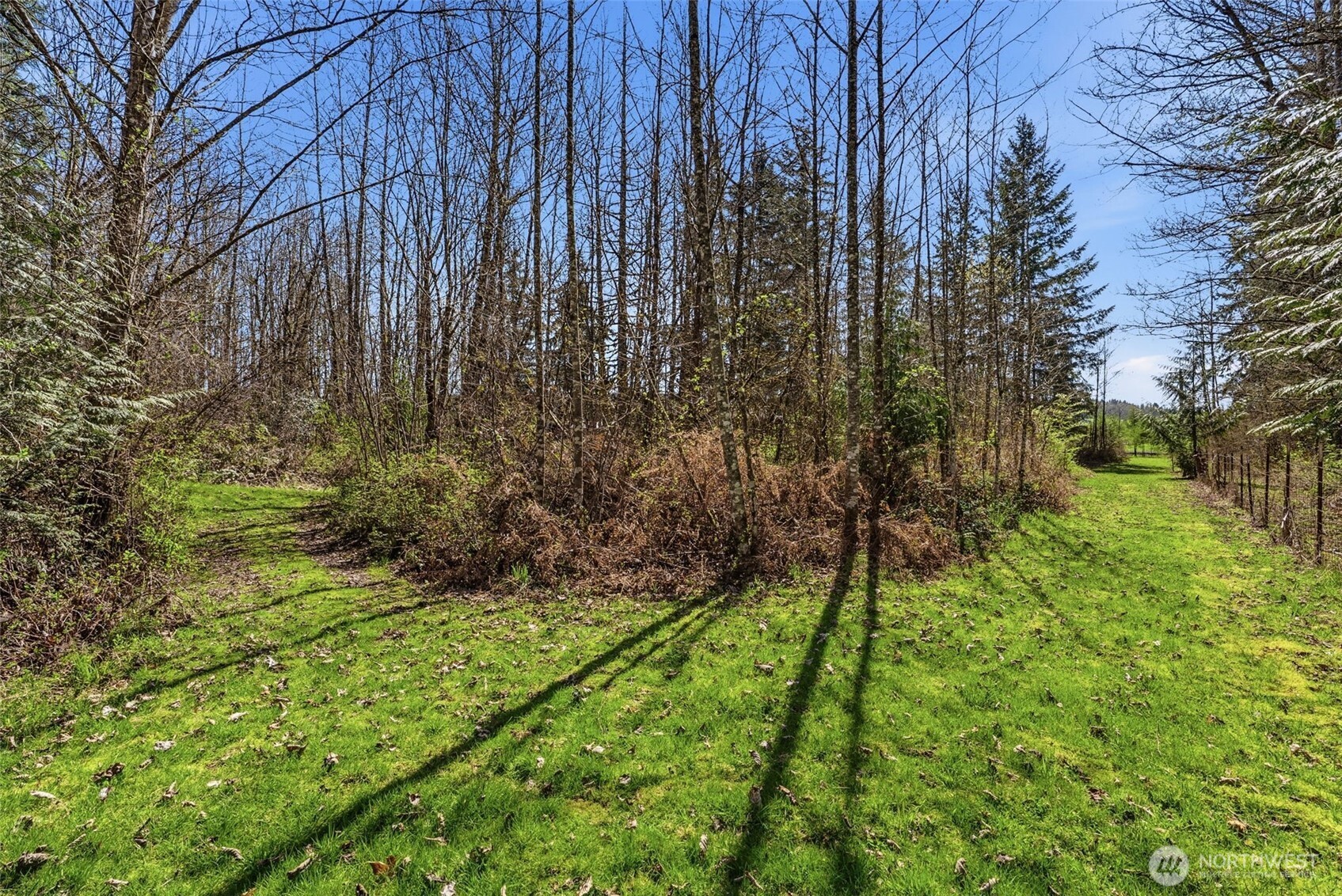 337 Jorgensen Road , Onalaska, WA 98570-9424