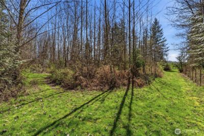 337 Jorgensen Road , Onalaska, WA 98570-9424 - Photo 16