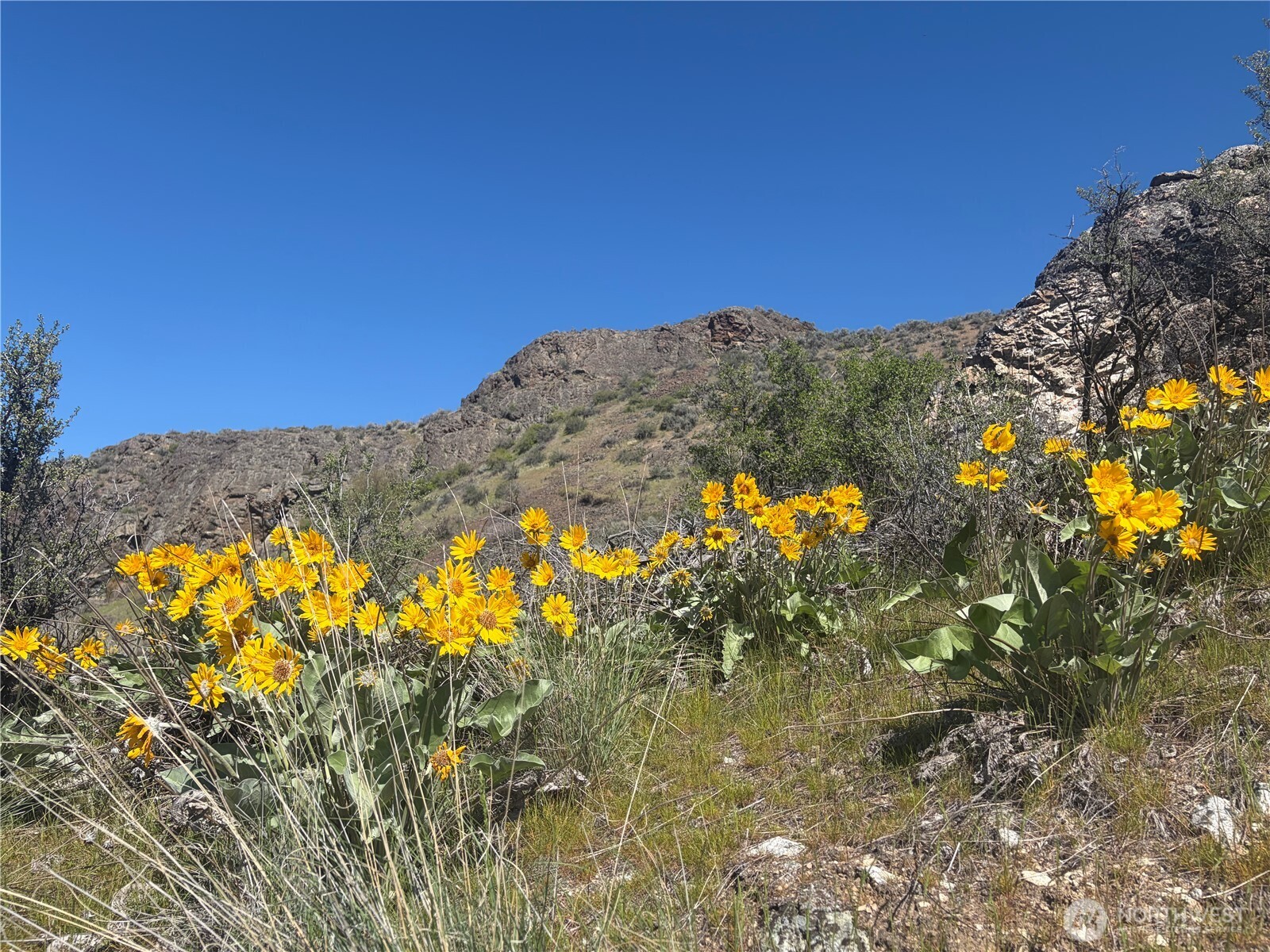 0 TBD Highway 97 , Oroville, WA 98844