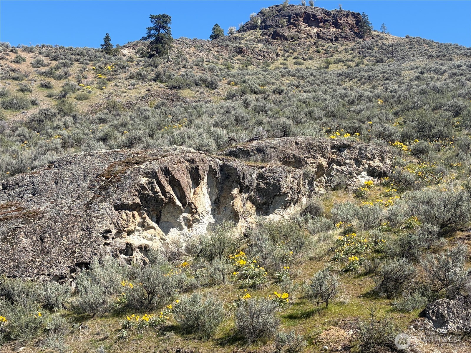 0 TBD Highway 97 , Oroville, WA 98844