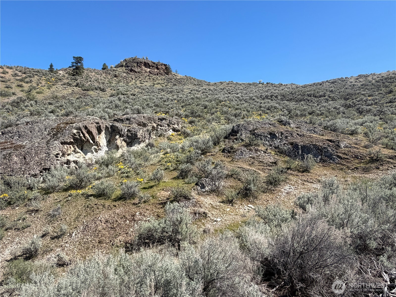 0 TBD Highway 97 , Oroville, WA 98844