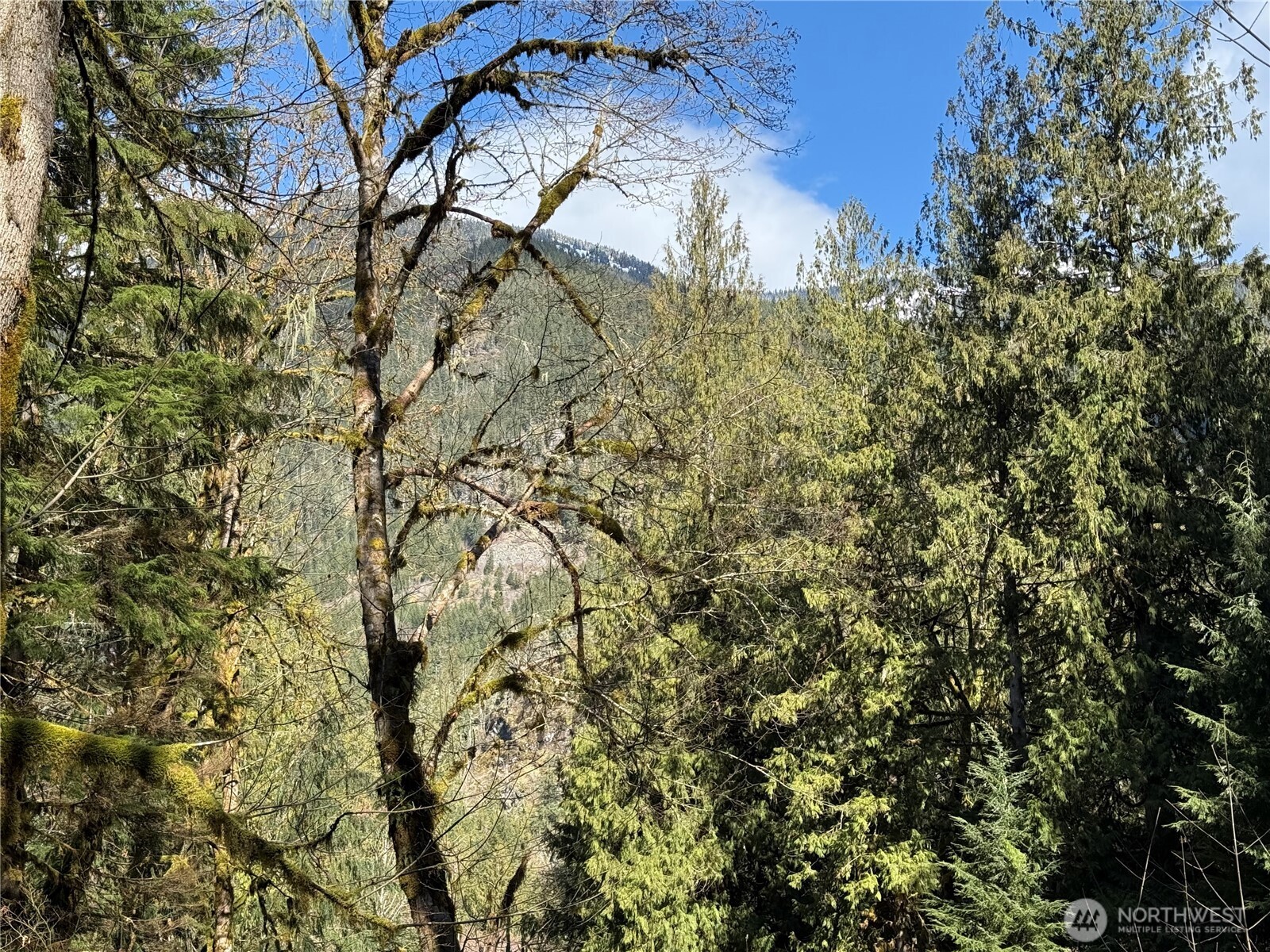 0 High Ridge Drive , Marblemount, WA 98267