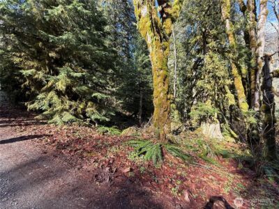 0 High Ridge Drive , Marblemount, WA 98267 - Photo 2