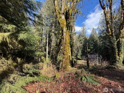 0 High Ridge Drive , Marblemount, WA 98267 - Photo 3