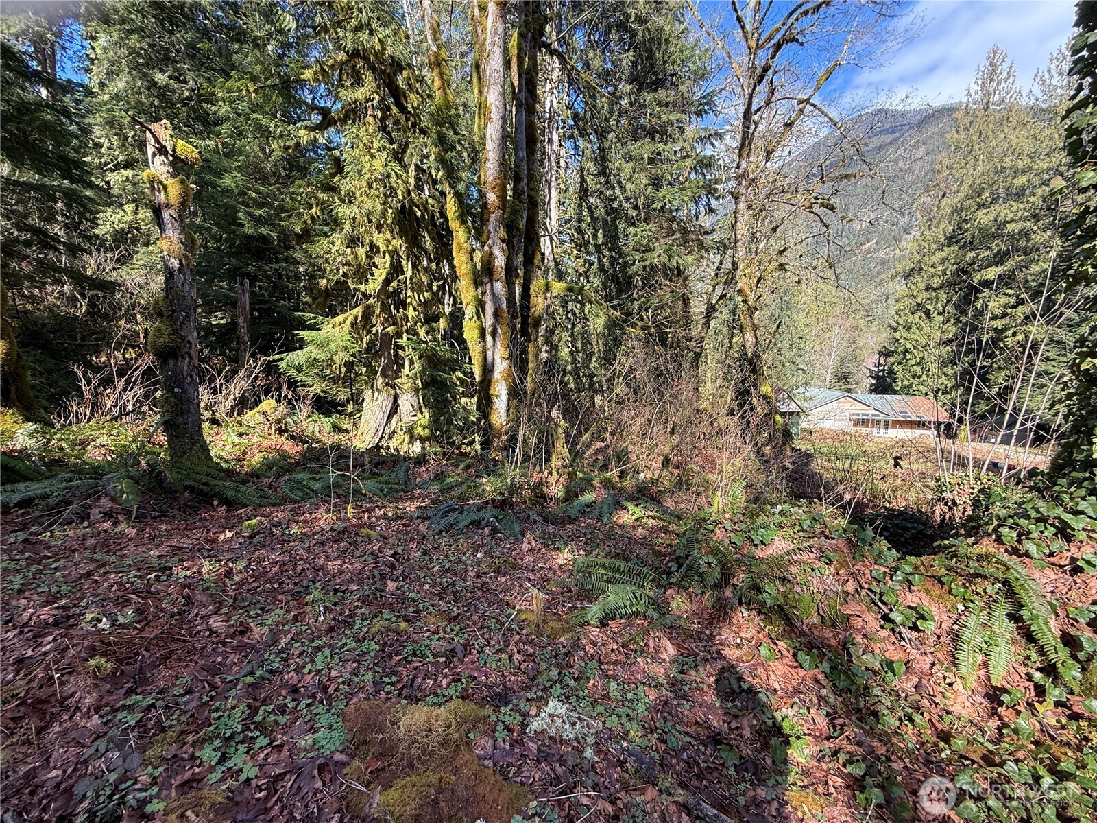 0 High Ridge Drive , Marblemount, WA 98267