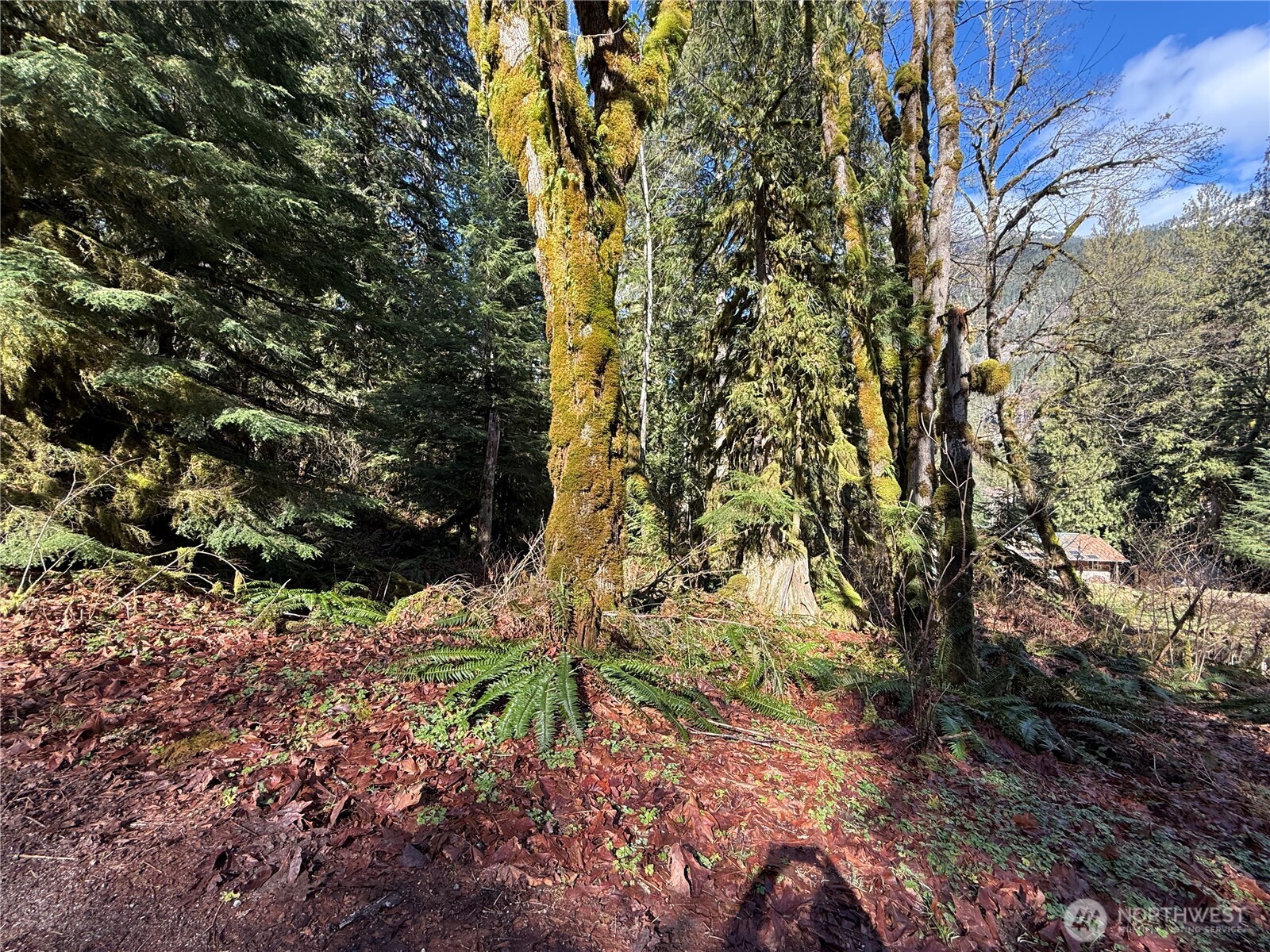 0 High Ridge Drive , Marblemount, WA 98267