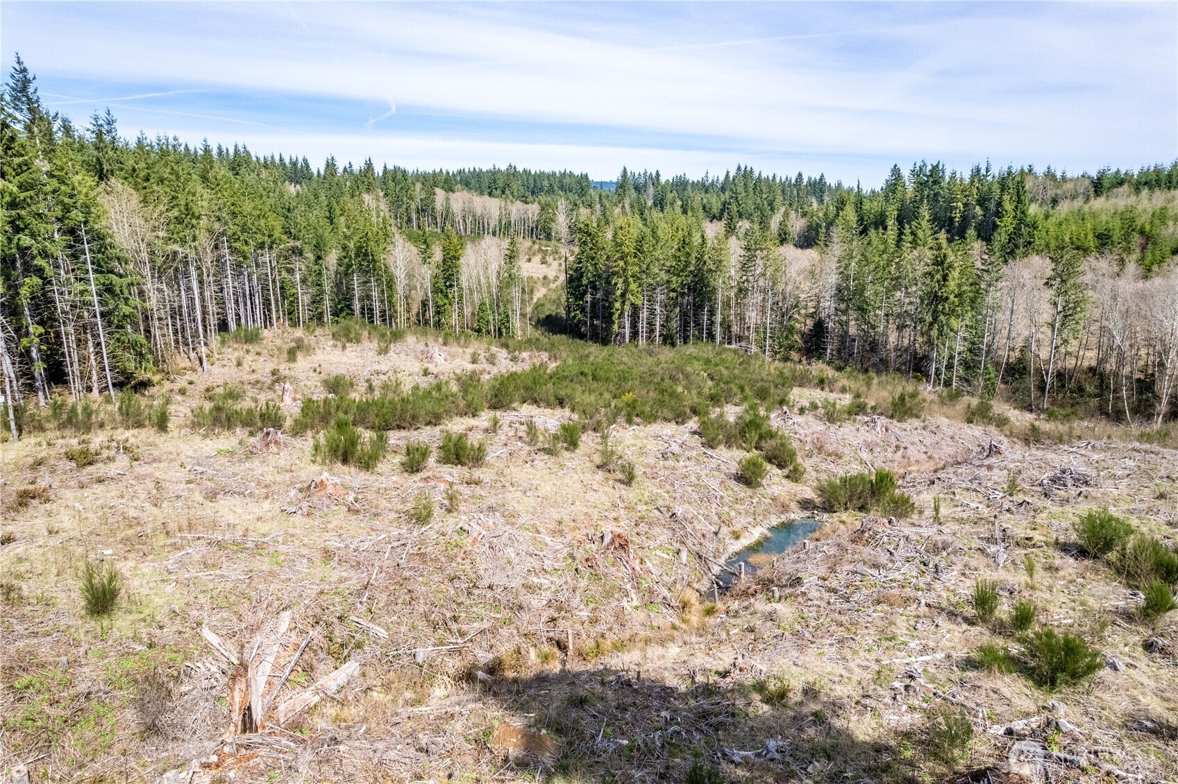 0 Eufaula Heights Road , Longview, WA 98632