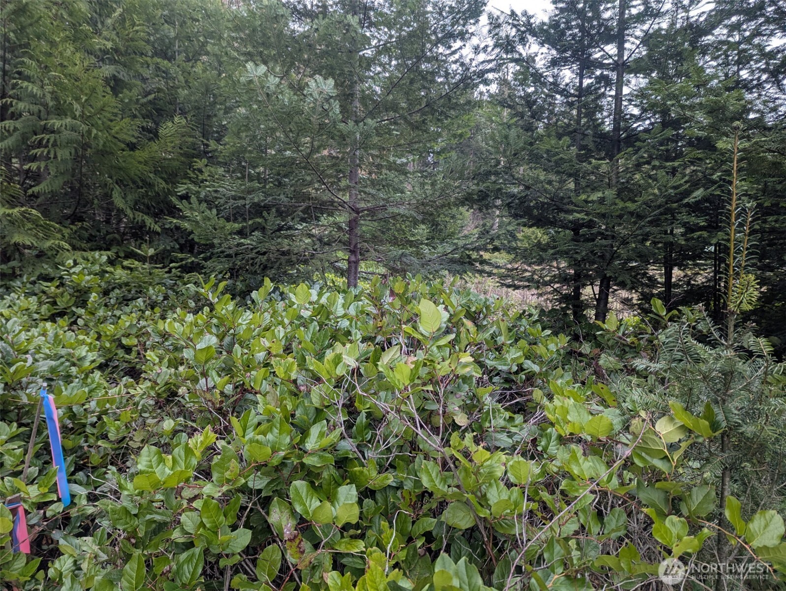 0 Critter Country Trail , Sequim, WA 98382