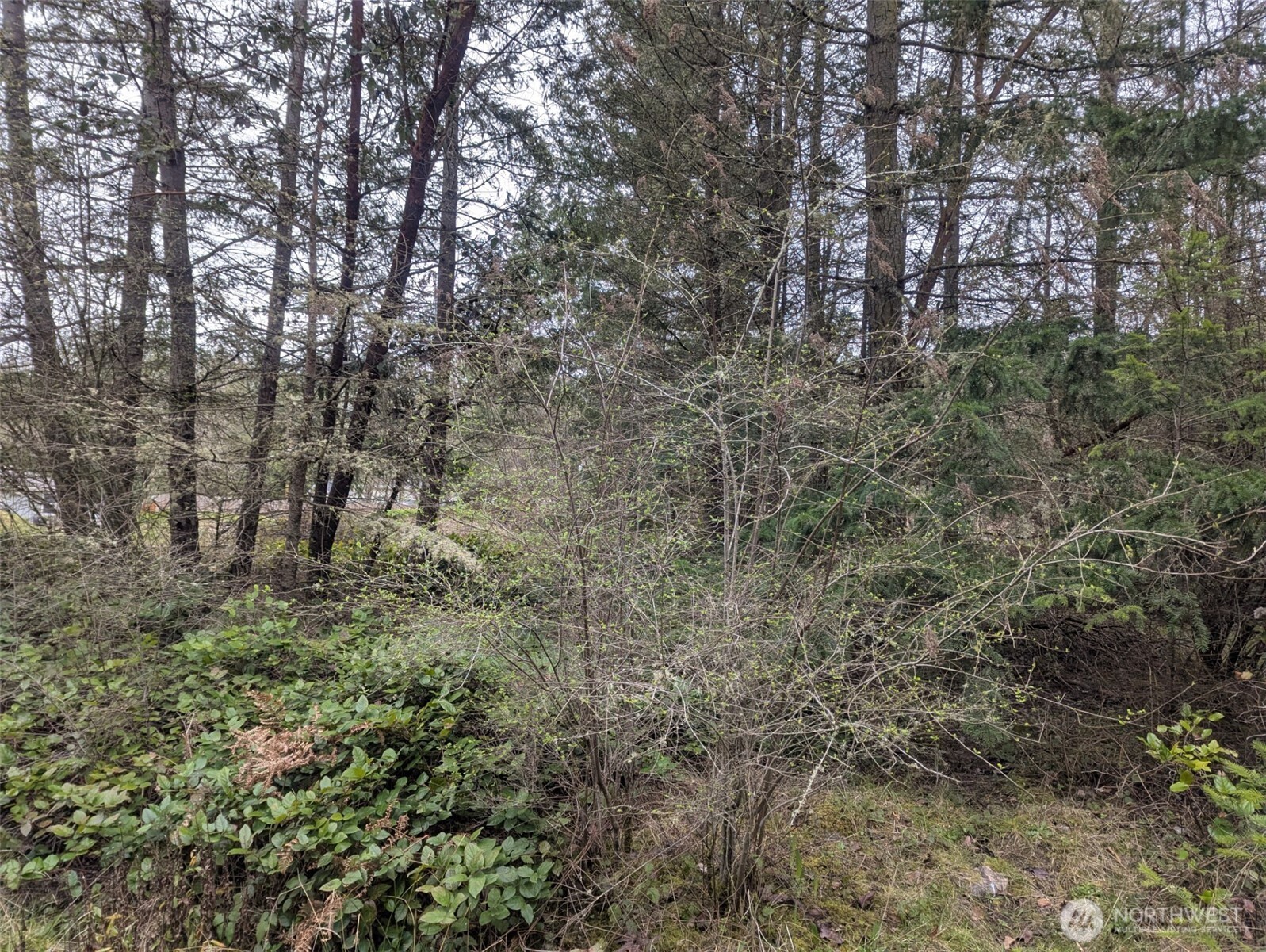 0 Critter Country Trail , Sequim, WA 98382