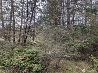 0 Critter Country Trail , Sequim, WA 98382 - Photo 12