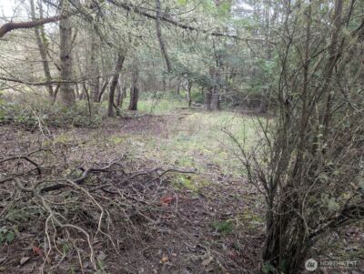 0 Critter Country Trail , Sequim, WA 98382 - Photo 13