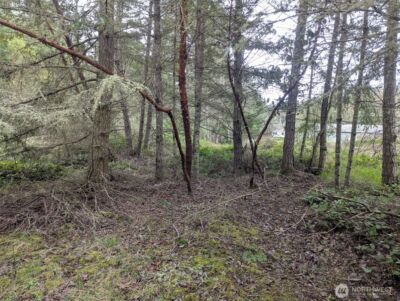 0 Critter Country Trail , Sequim, WA 98382 - Photo 2