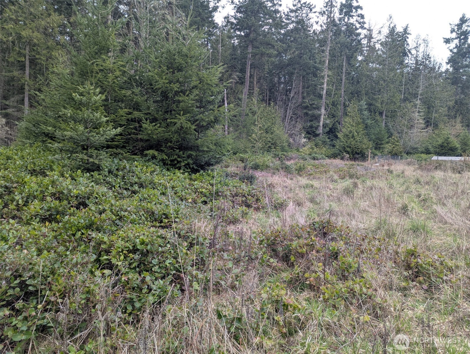 0 Critter Country Trail , Sequim, WA 98382