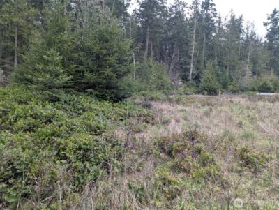 0 Critter Country Trail , Sequim, WA 98382 - Photo 4