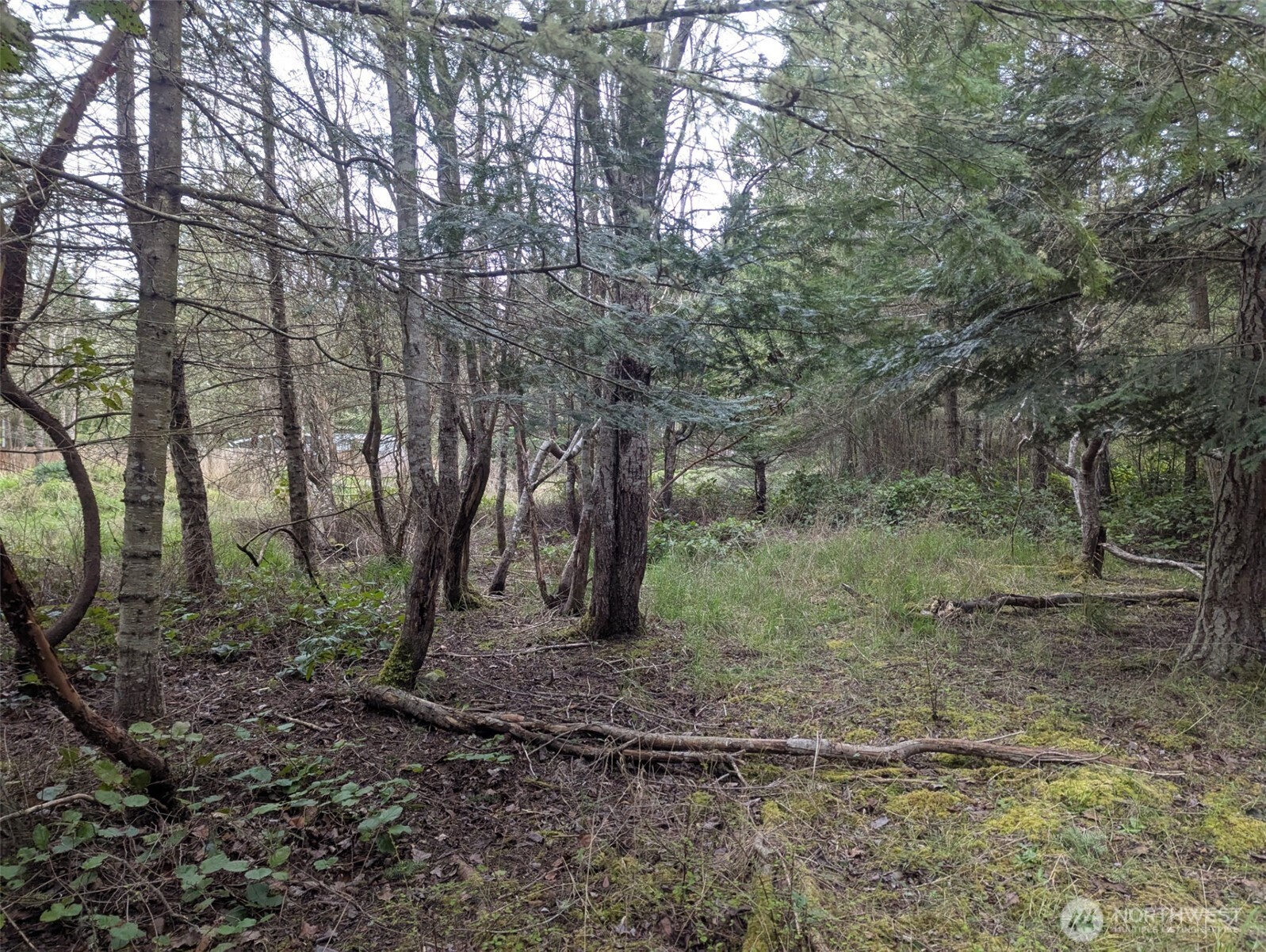 0 Critter Country Trail , Sequim, WA 98382