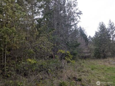 0 Critter Country Trail , Sequim, WA 98382 - Photo 6