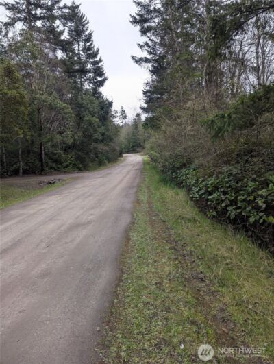 0 Critter Country Trail , Sequim, WA 98382 - Photo 8