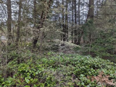 0 Critter Country Trail , Sequim, WA 98382 - Photo 10