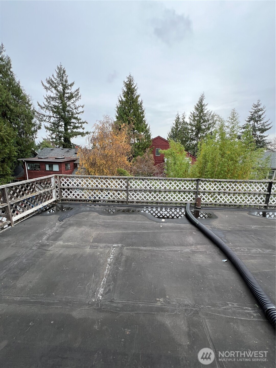 5026 20th Avenue NE, Seattle, WA 98105