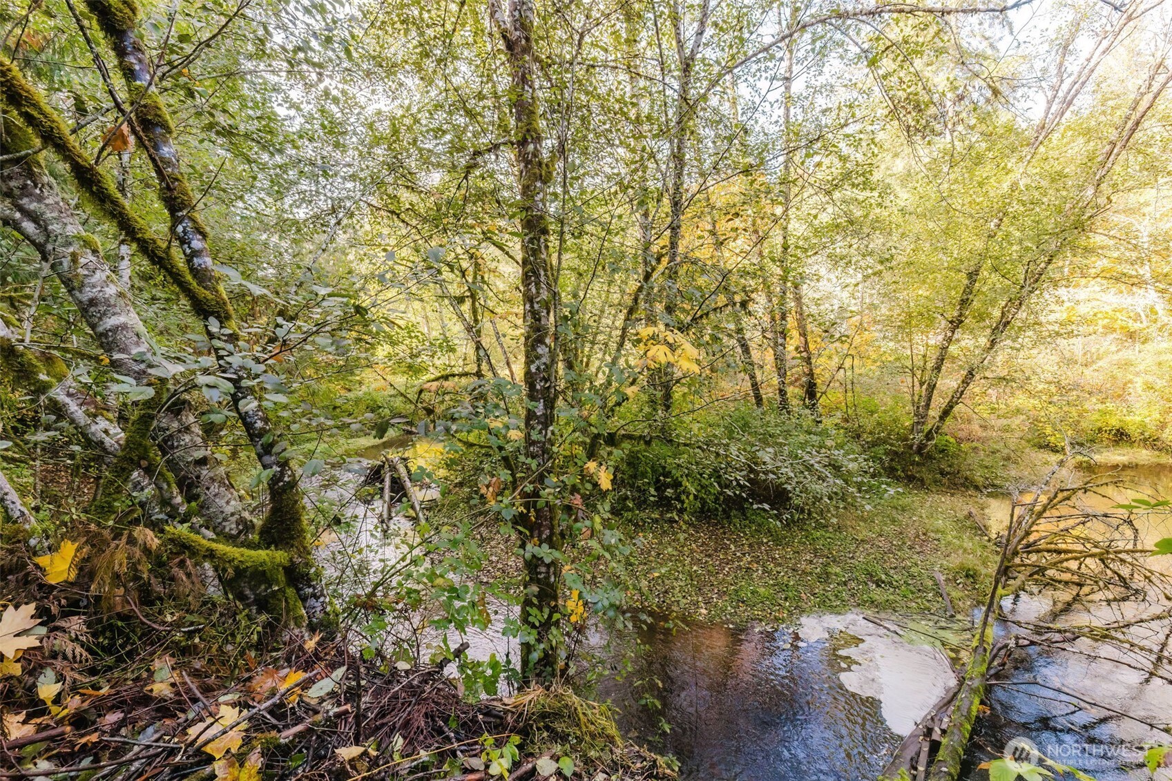 17717 E State Route 3 , Allyn, WA 98524-1415