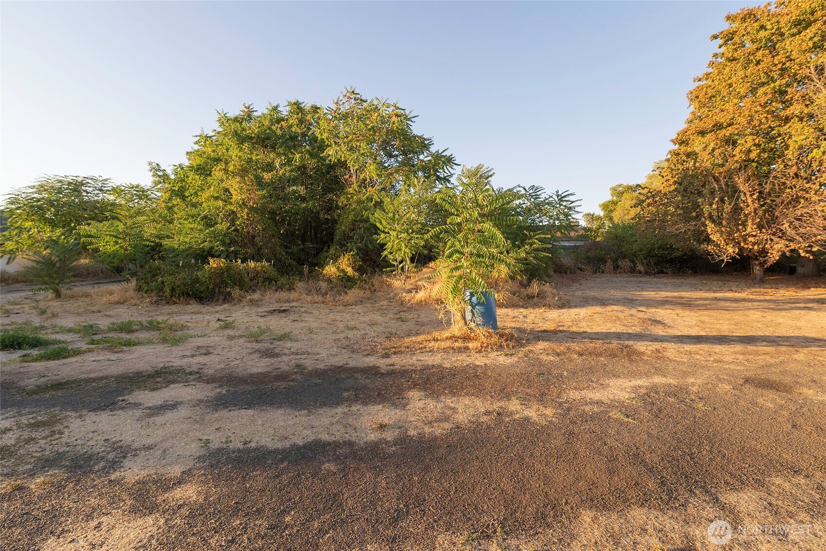 40 NW B Street , College Place, WA 99324