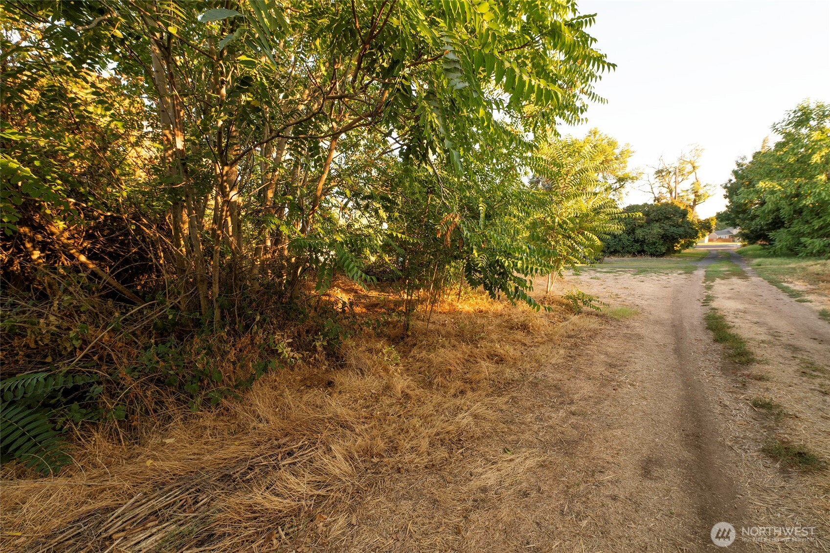 40 NW B Street , College Place, WA 99324