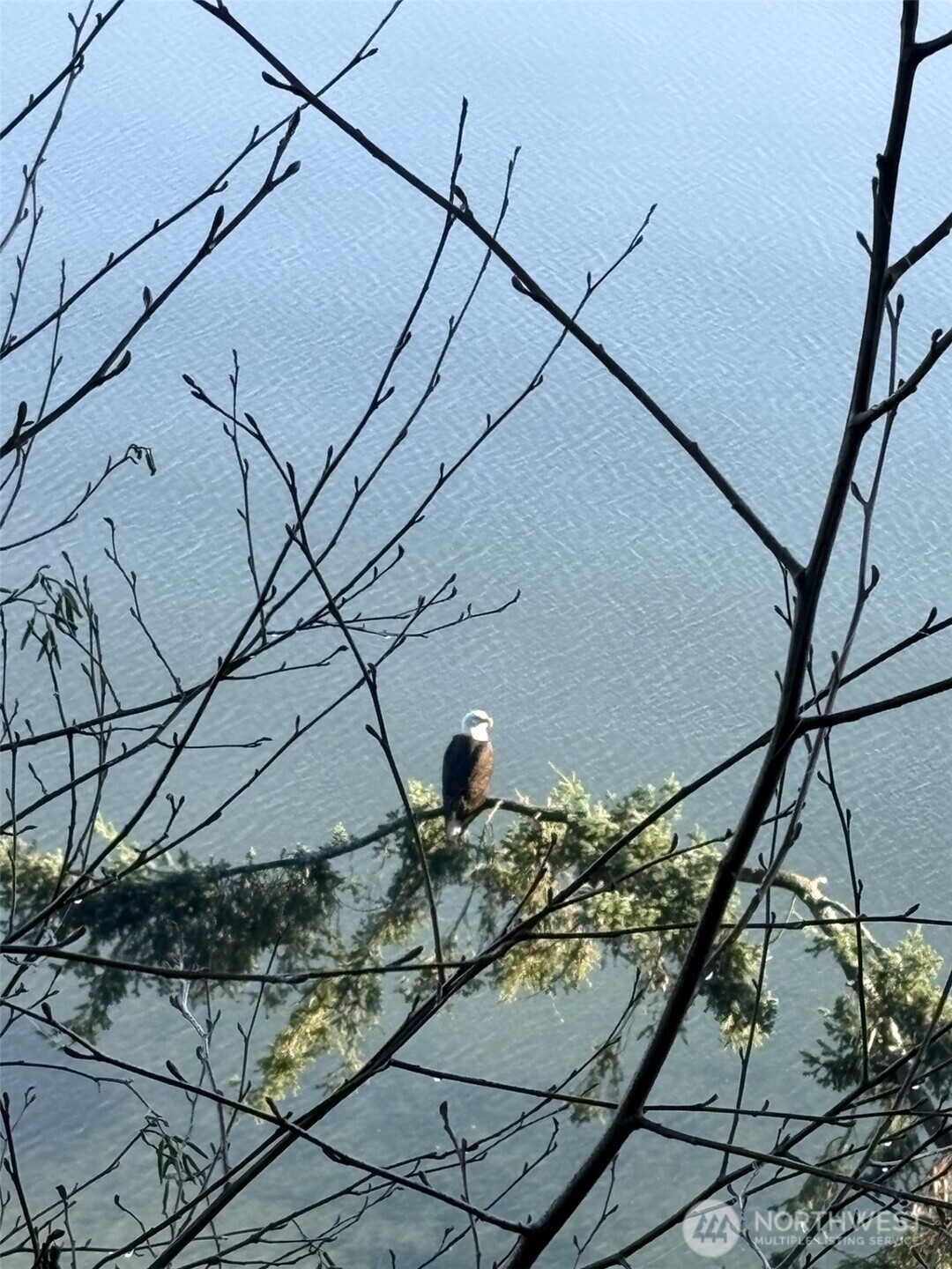 3817 Bells Beach Road , Langley, WA 98260