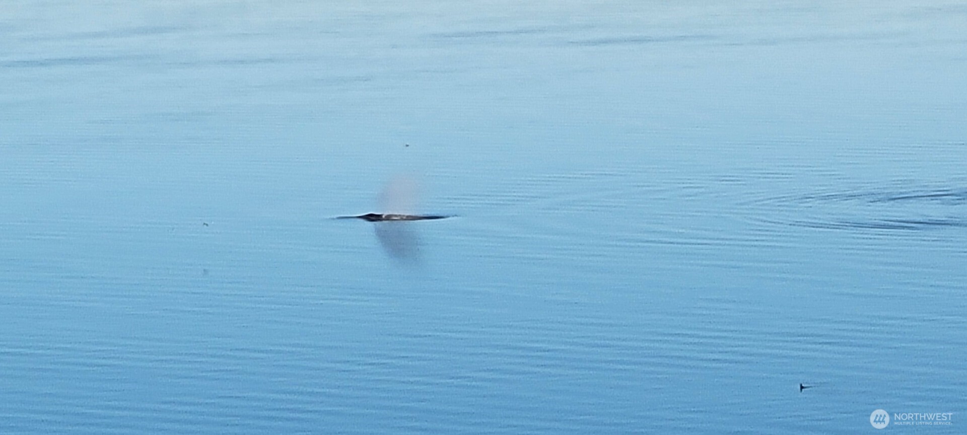 3817 Bells Beach Road , Langley, WA 98260