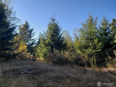 0 Lot 7 Buck Drive , Randle, WA 98377