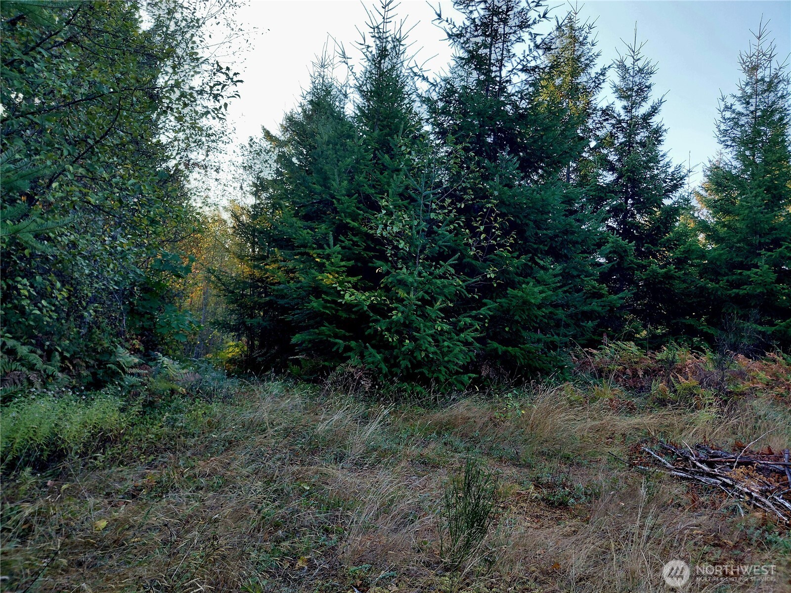 0 Lot 7 Buck Drive , Randle, WA 98377