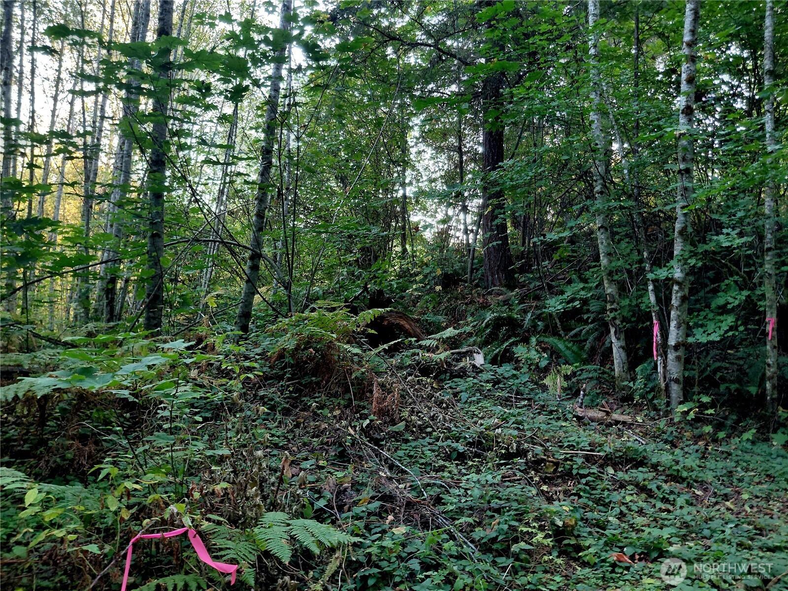 0 Lot 7 Buck Drive , Randle, WA 98377