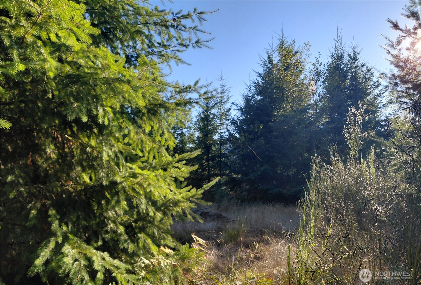 0 Lot 7 Buck Drive , Randle, WA 98377