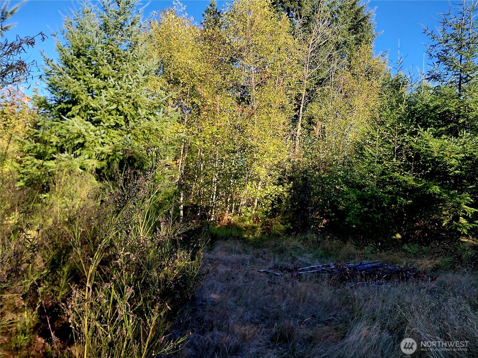 0 Lot 7 Buck Drive , Randle, WA 98377