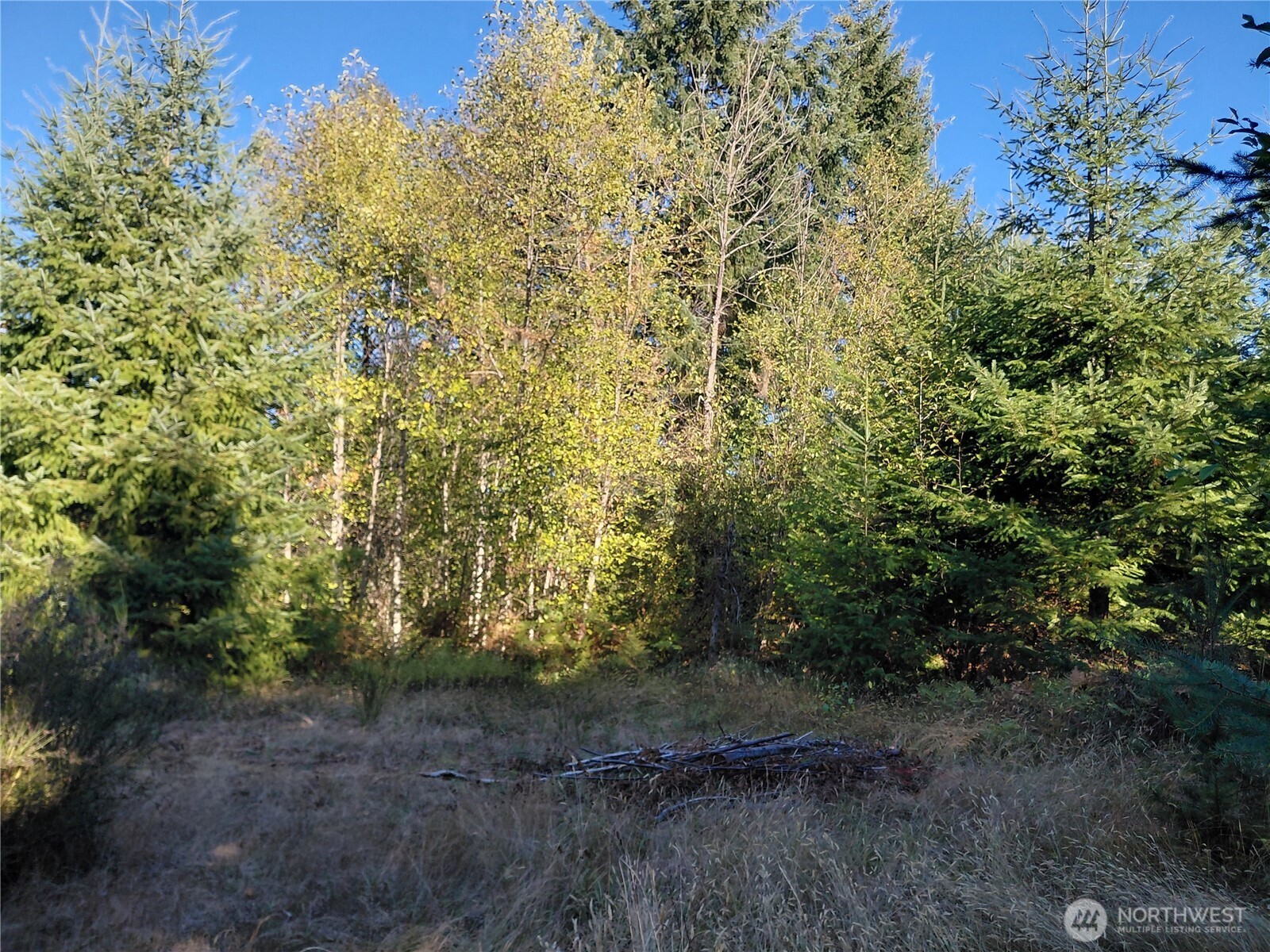 0 Lot 7 Buck Drive , Randle, WA 98377
