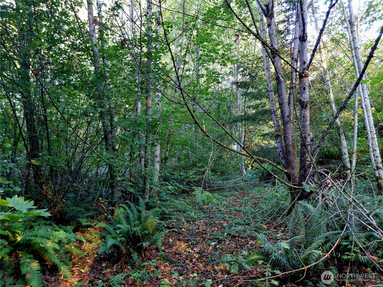 0 Lot 7 Buck Drive , Randle, WA 98377
