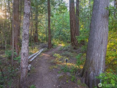 5441 E Grapeview Loop Road , Allyn, WA 98524 - Photo 19