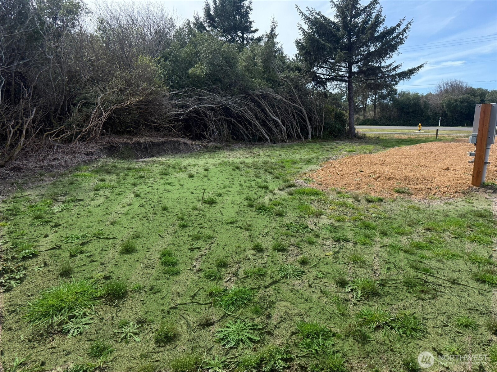 538 Ocean Shores Boulevard NW, Ocean Shores, WA 98569