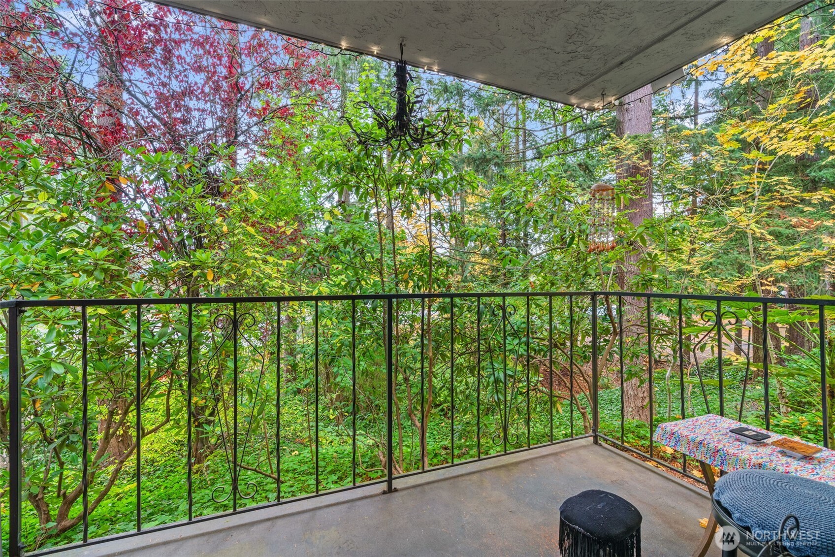 8517 242nd Street SW #402B, Edmonds, WA 98026