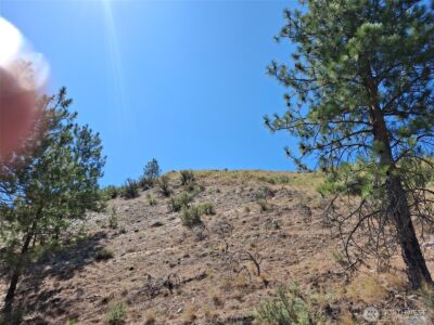 1299 Old Highway 97 , Malott, WA 98829 - Photo 3