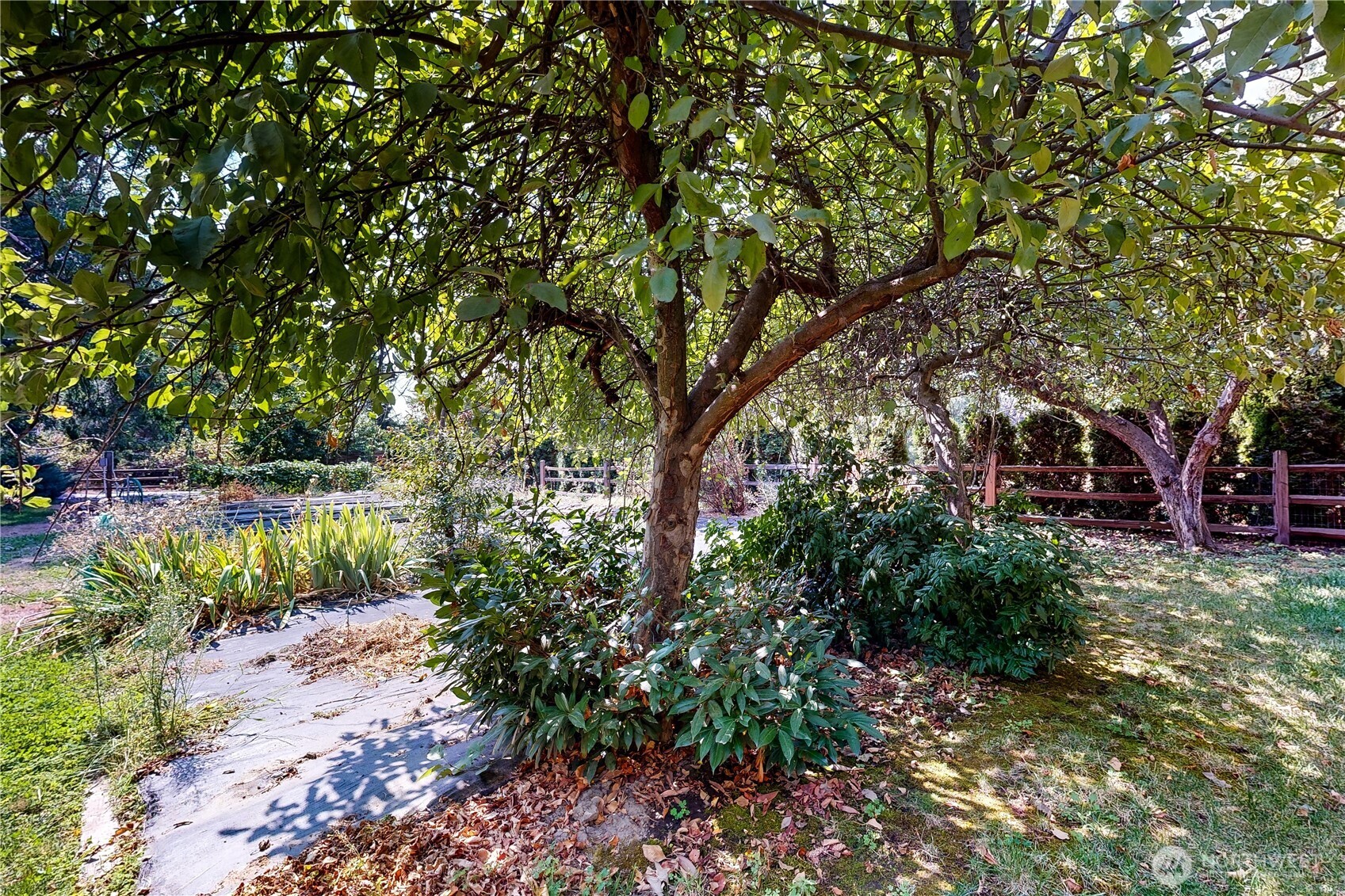 2022 Scarpelli Drive , Walla Walla, WA 99362