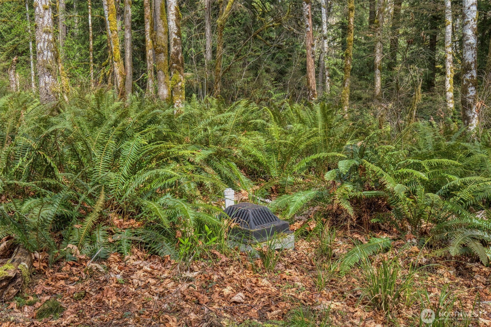 435 NW Sword Fern Lane , Poulsbo, WA 98370