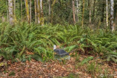435 NW Sword Fern Lane , Poulsbo, WA 98370 - Photo 11