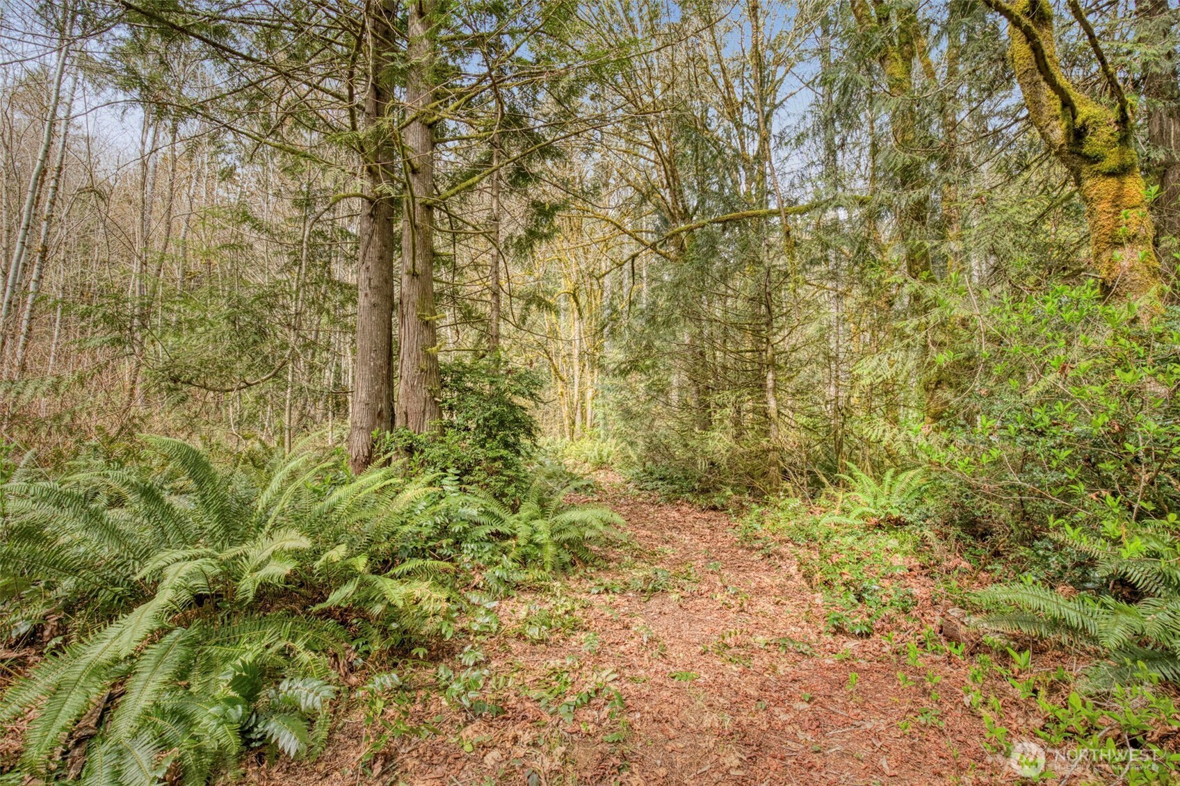 435 NW Sword Fern Lane , Poulsbo, WA 98370